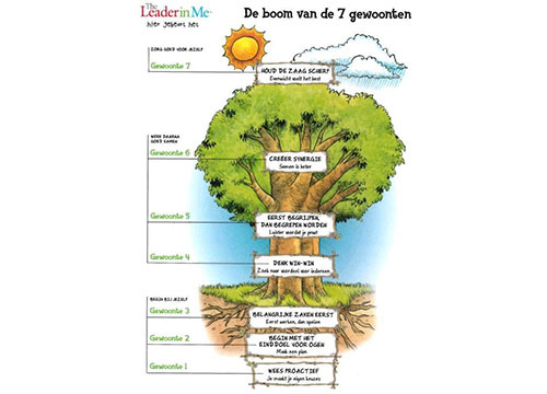 Boom van de zeven gewoonten